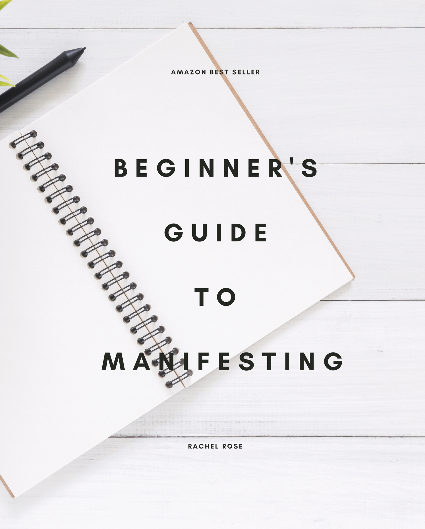 Beginner's Guide to Manifesting